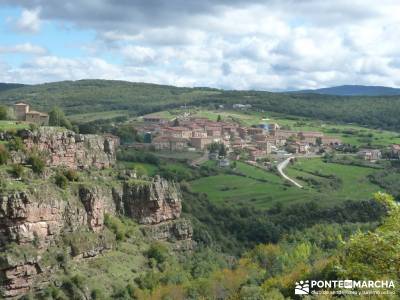 Parque Natural Sierra de Cebollera (Los Cameros) - Acebal Garagüeta;grupo senderismo madrid gratis 